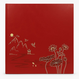 Album 10x15/500
